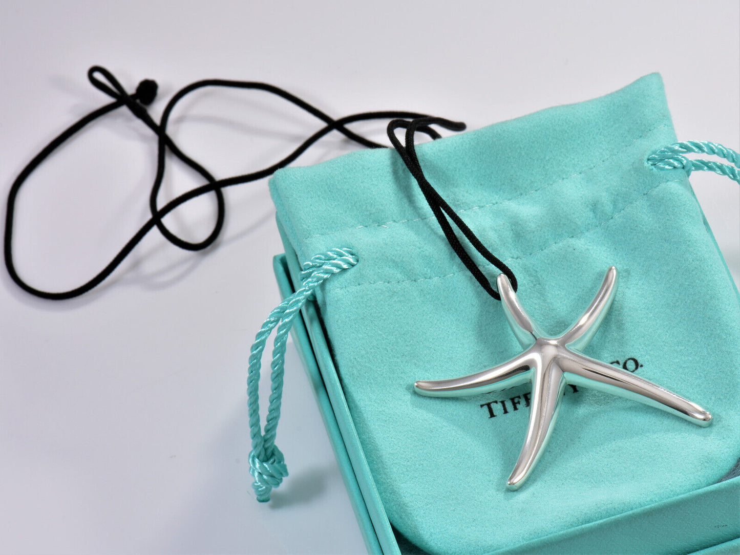 Tiffany & Co Silver Elsa Peretti Huge Starfish Pendant 21.7" Large Silk Necklace