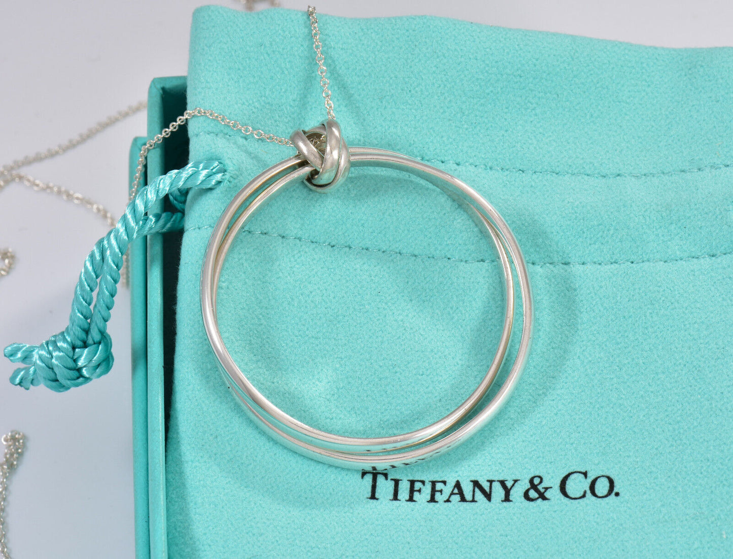 Tiffany & Co Silver Paloma Picasso Large 1.75" Melody Pendant 30" Necklace Boxed