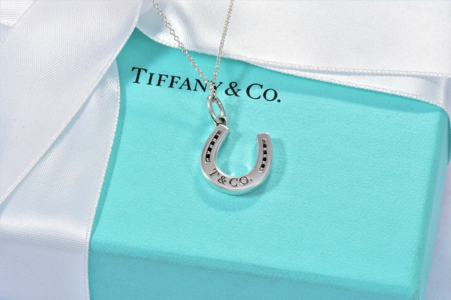 Tiffany & Co Sterling Silver Thick Horseshoe Pendant 16" Necklace in Pouch Rare