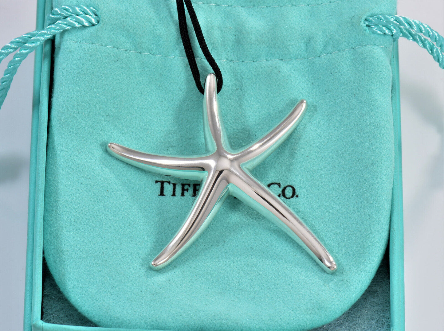 Tiffany & Co Silver Elsa Peretti Huge Starfish Pendant 21.7" Large Silk Necklace