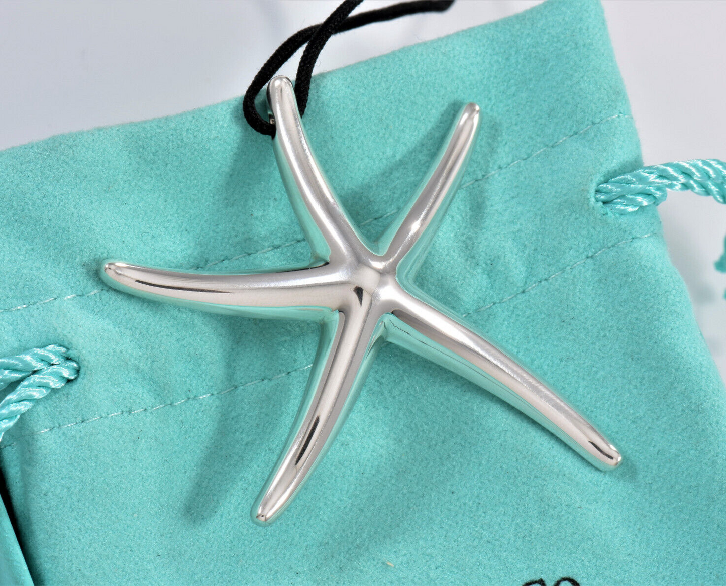 Tiffany & Co Silver Elsa Peretti Huge Starfish Pendant 21.7" Large Silk Necklace