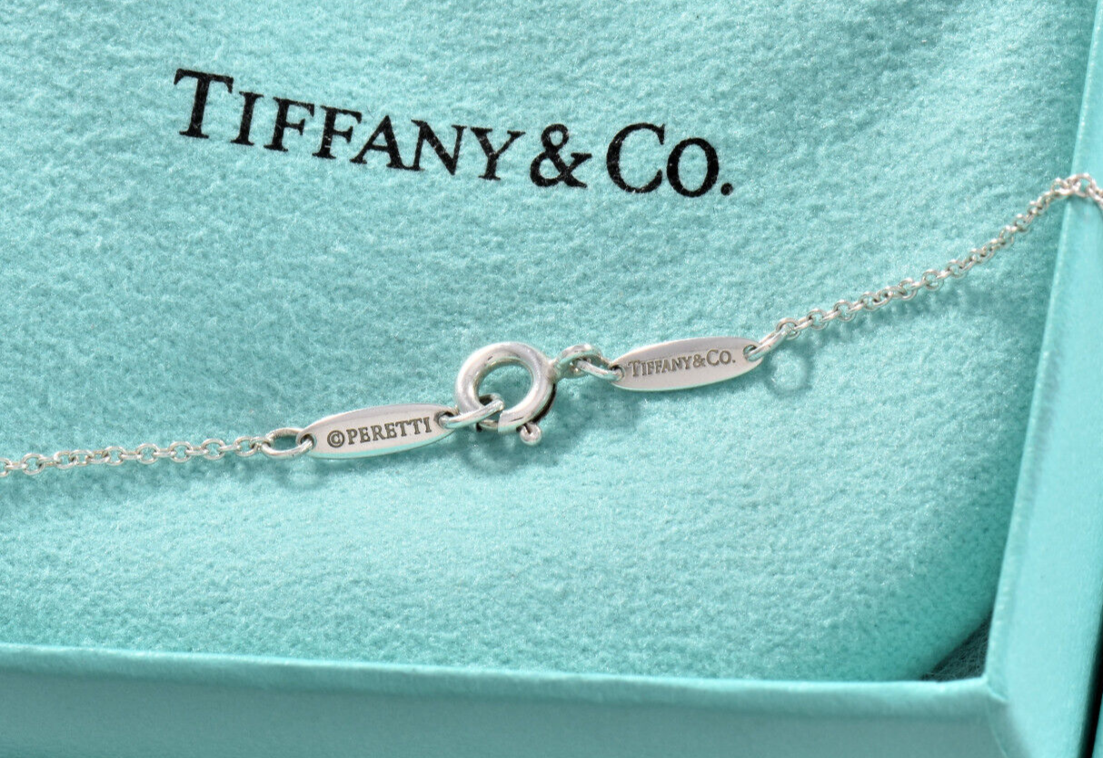 Tiffany & Co Silver Elsa Peretti Color By Yard Tanzanite 16" Necklace Box Pouch