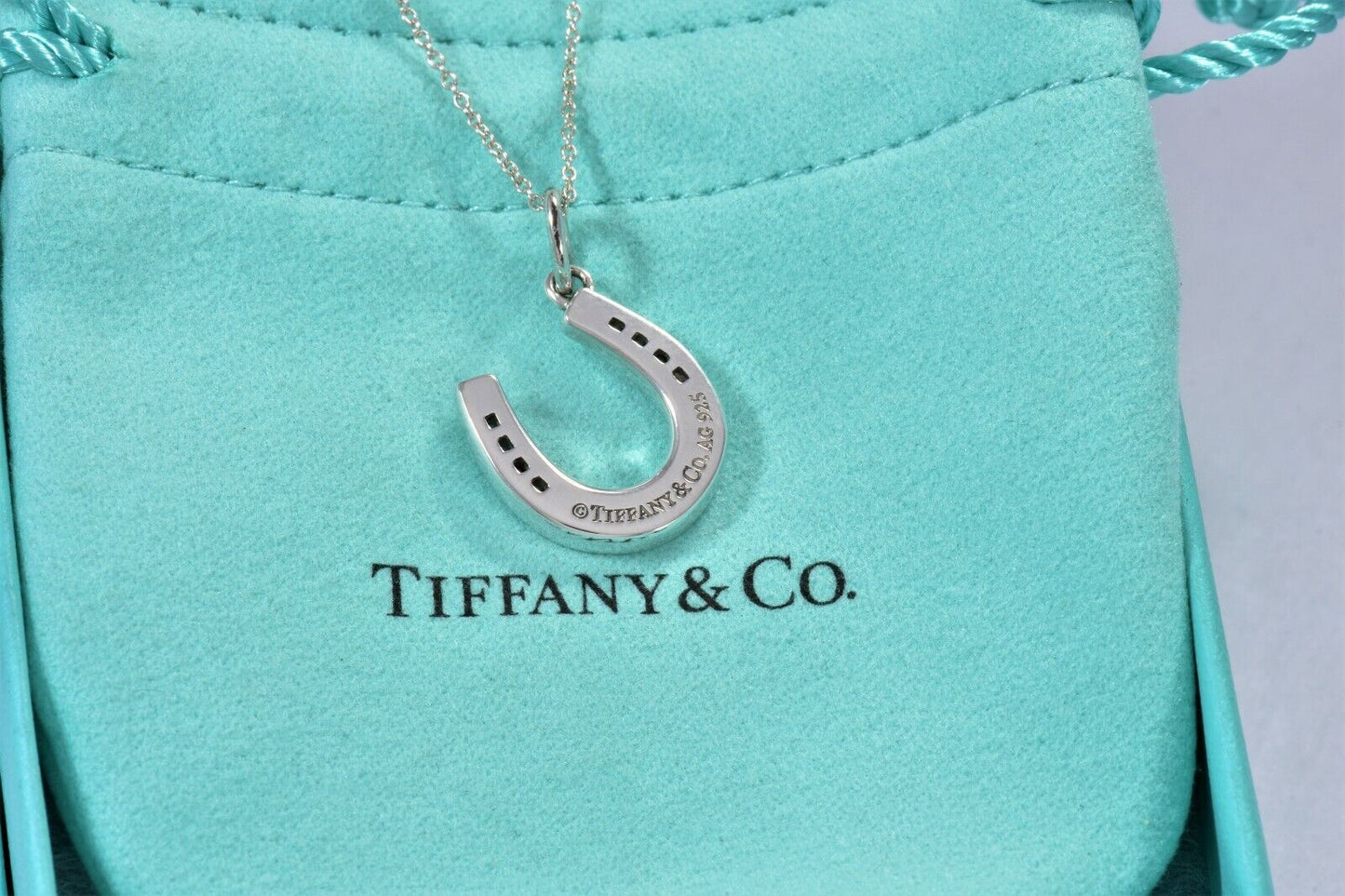 Tiffany & Co Sterling Silver Thick Horseshoe Pendant 16" Necklace in Pouch Rare