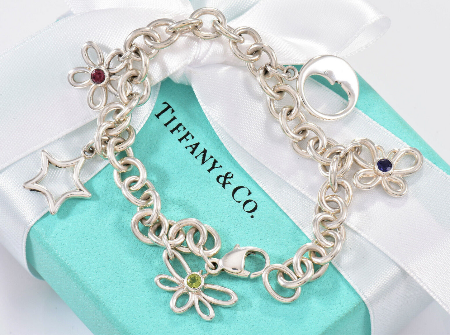 Tiffany & Co Silver Nature Gem Butterfly Moon Flower Star Dragonfly Bracelet