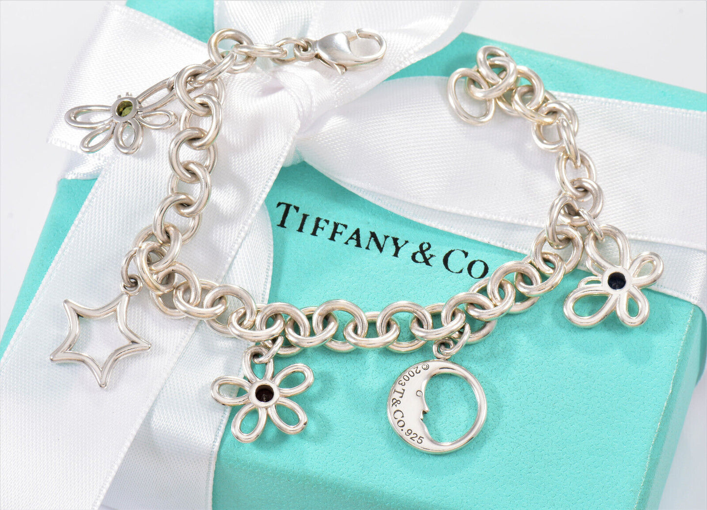 Tiffany & Co Silver Nature Gem Butterfly Moon Flower Star Dragonfly Bracelet