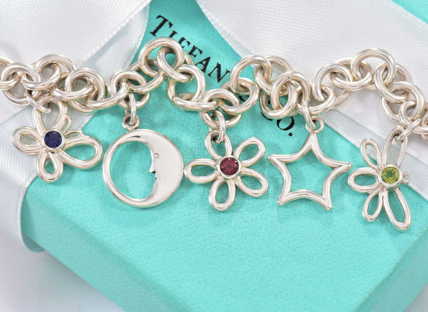 Tiffany & Co Silver Nature Gem Butterfly Moon Flower Star Dragonfly Bracelet