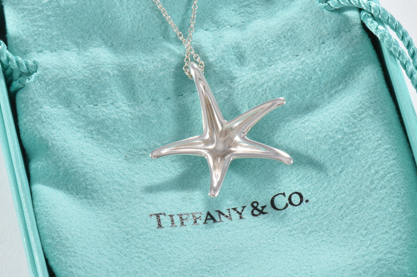 Tiffany & Co Silver Elsa Peretti Large Starfish Pendant 16.25" Necklace in Pouch