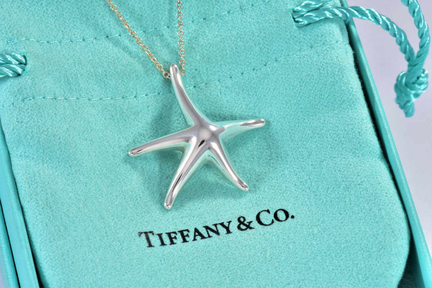 Tiffany & Co Silver Elsa Peretti Large Starfish Pendant 16.25" Necklace in Box