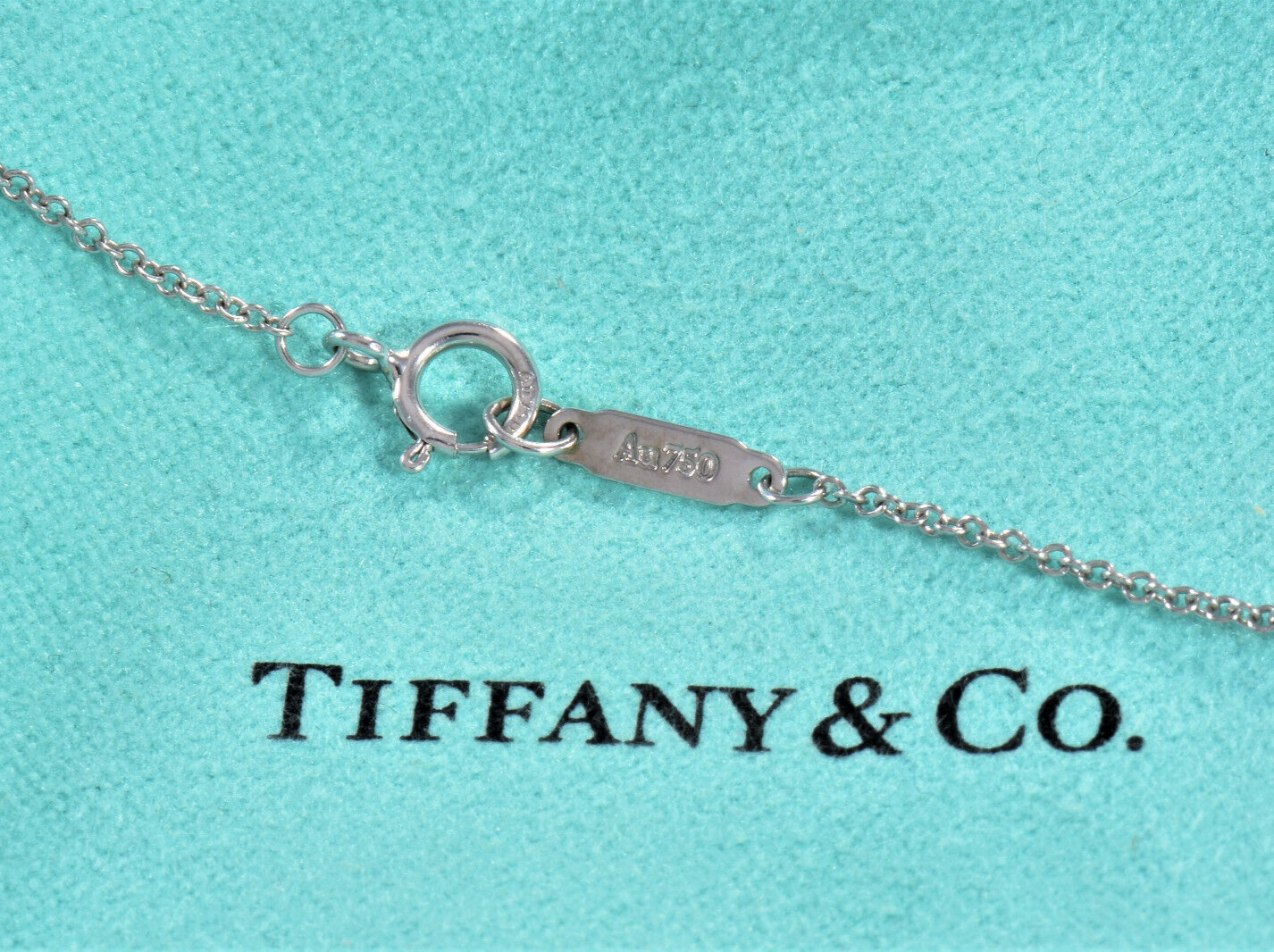 Tiffany & Co Diamond 18k White Gold Interlocking Circles Rings Pendant Necklace