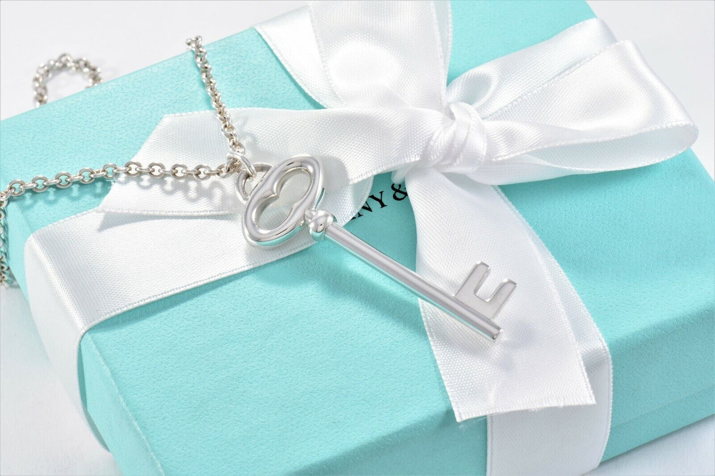 Tiffany & Co Silver Large 2" Oval Key Charm Pendant 16.25" Chain Necklace in Box