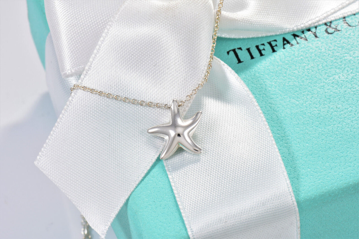 Tiffany & Co Silver Elsa Peretti Small Starfish Pendant 16" Necklace & Box Pouch