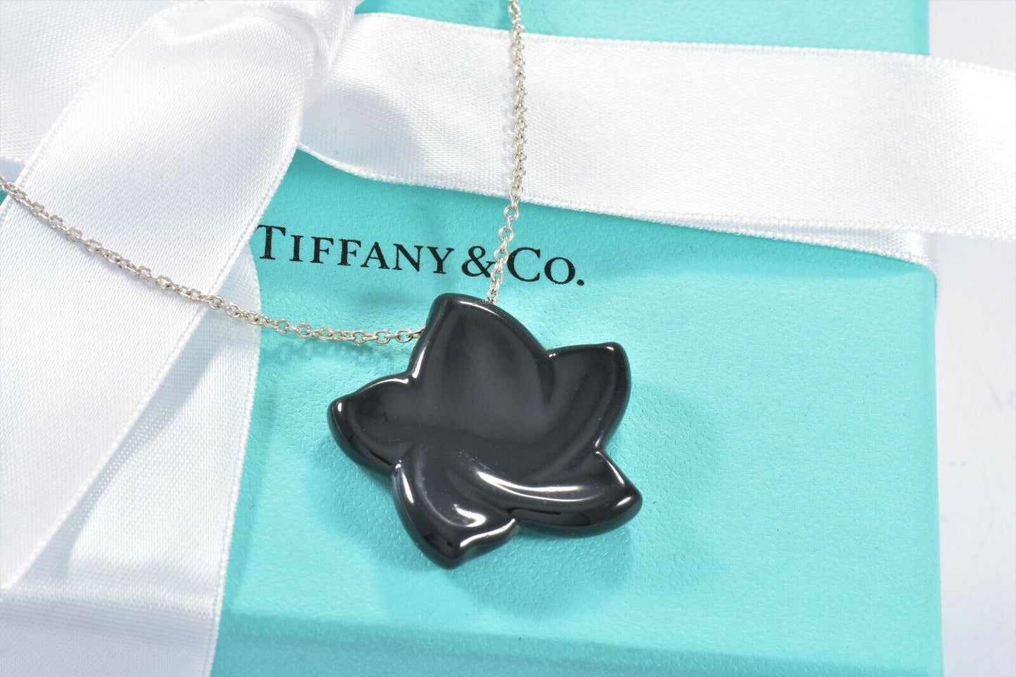 Tiffany & Co Silver Elsa Peretti Black Jade Star Pendant XL 30" Necklace in Box