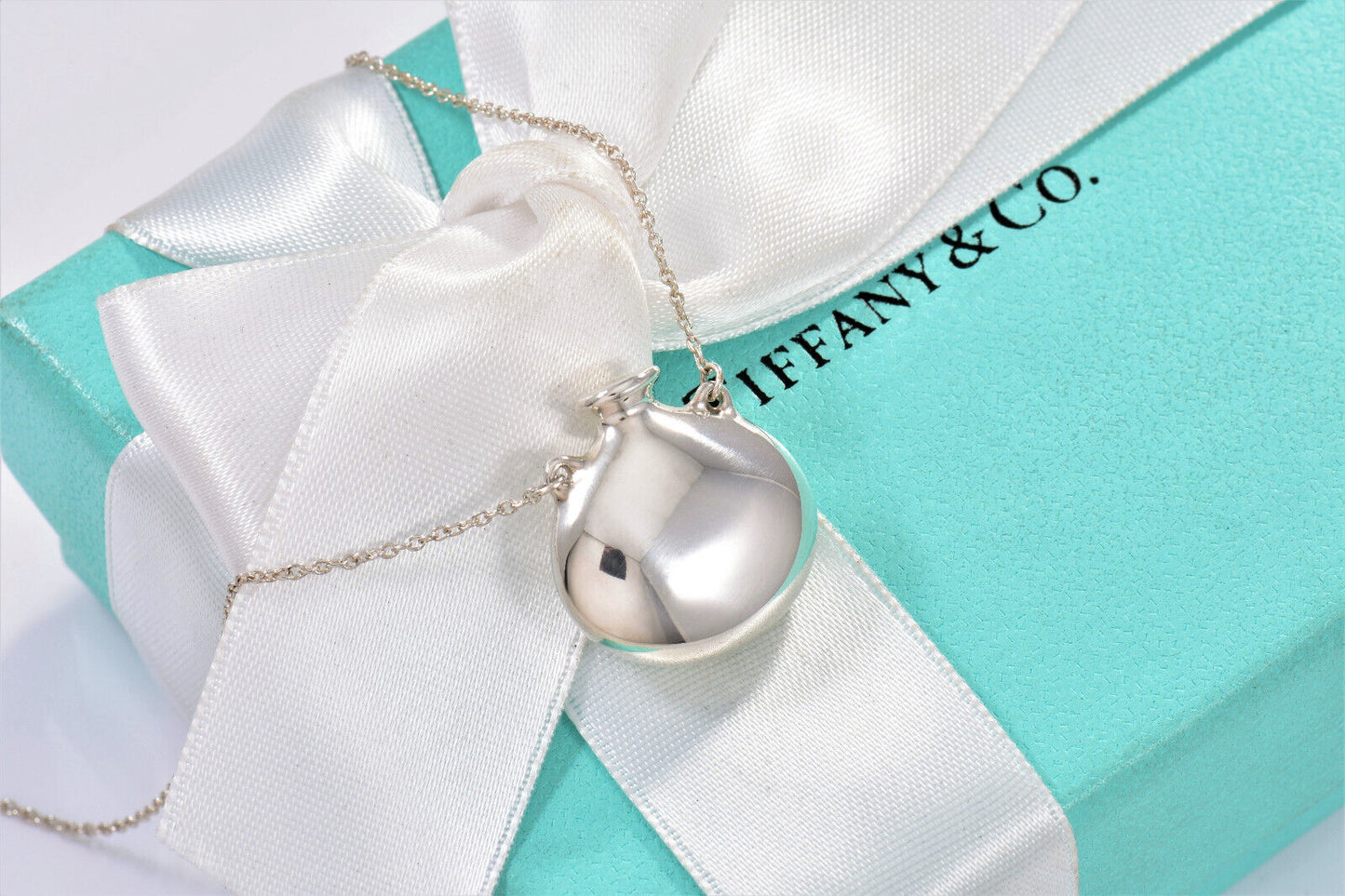 Tiffany & Co Elsa Peretti Silver Round Perfume Bottle Pendant 16.6" Necklace