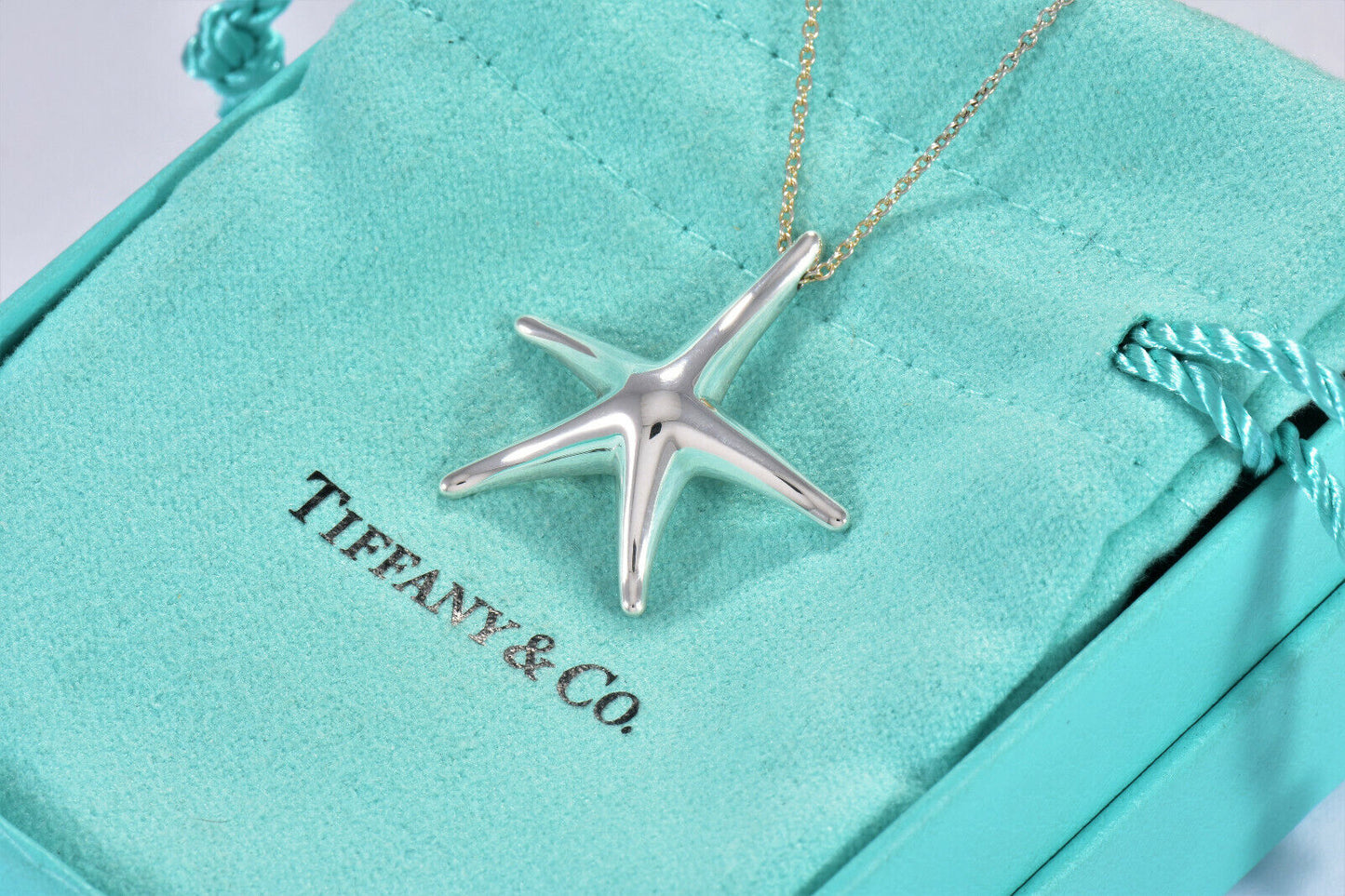 Tiffany & Co Silver Elsa Peretti Large Starfish Pendant 16.25" Necklace in Box